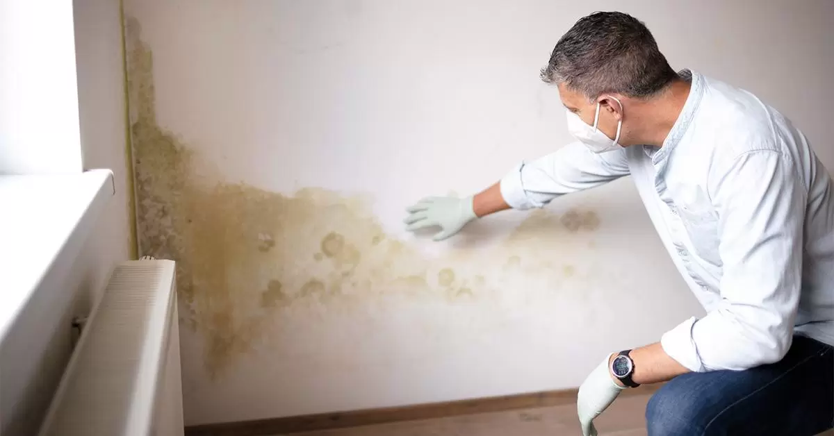 Seepage and Damp Wall Repair